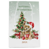 ベビー1stクリスマステディベアミディアム抱き枕 ミディアムペーパーバッグ (正面)