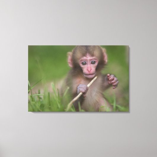 ベビー キャンバスプリント (正面)