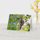 ベビー・クーン・デイ・ウィッシュズ カード (黄色い花)