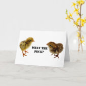 ベビー・コチューニックスとボビホワイト・ウズラのひな カード (黄色い花)