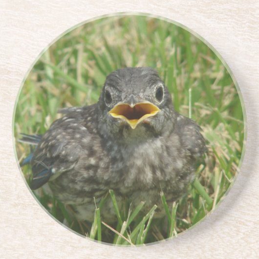 ベビー コースター (正面)