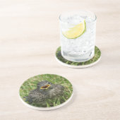 ベビー コースター (側面)