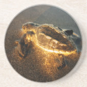 ベビー コースター (正面)