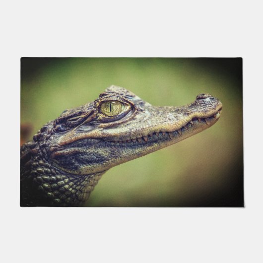 ベビー ドアマット (正面)