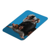 ベビー・ニフラーズが賞を見つける マグネット (左側)