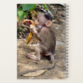 ベビー ノートブック (裏面)