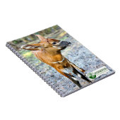 ベビー ノートブック (右側)