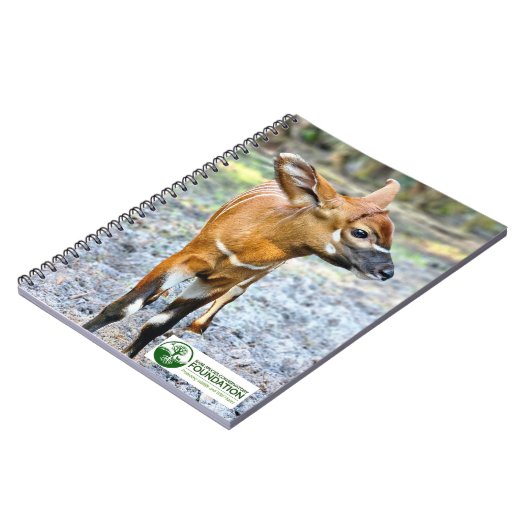 ベビー ノートブック (左側)