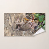 ベビー ハンドタオル (ハンドタオル)