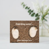 ベビー・ビード・ドラゴンの孵化！ ポストカード (スタンド正面)