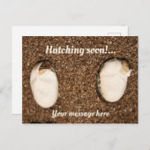ベビー・ビード・ドラゴンの孵化！ ポストカード (正面/裏面)