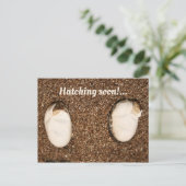 ベビー・ビード・ドラゴンの孵化！ ポストカード (スタンド正面)