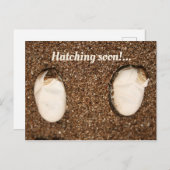 ベビー・ビード・ドラゴンの孵化！ ポストカード (正面/裏面)