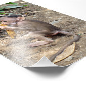 ベビー フォトプリント (角)