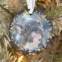 ベビー・ペット初のハヌカー記念写真