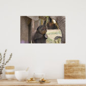 ベビー ポスター (キッチン)