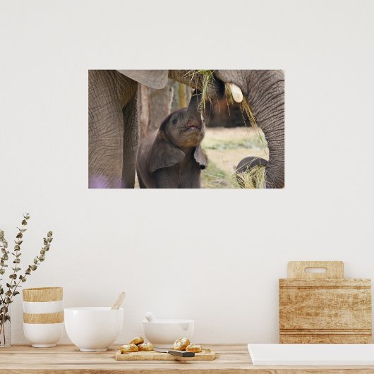 ベビー ポスター (キッチン)