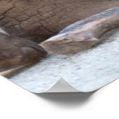 ベビー ポスター (角)