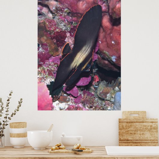 ベビー ポスター (キッチン)