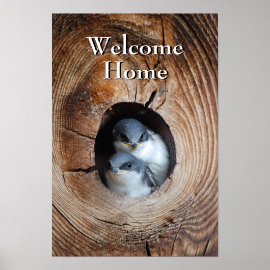 ベビー ポスター (正面)