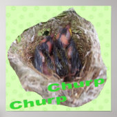 ベビー ポスター (正面)