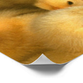 ベビー ポスター (角)