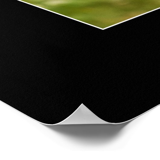 ベビー ポスター (角)