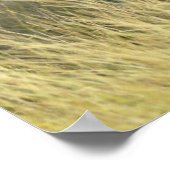 ベビー ポスター (角)