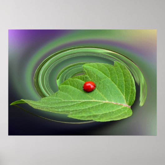 ベビー ポスター (正面)