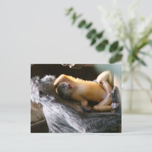 ベビー ポストカード (スタンド正面)