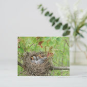 ベビー ポストカード (スタンド正面)