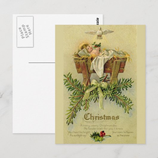 ベビー ポストカード (正面/裏面)