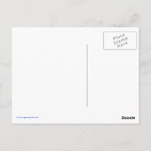 ベビー ポストカード (裏面)