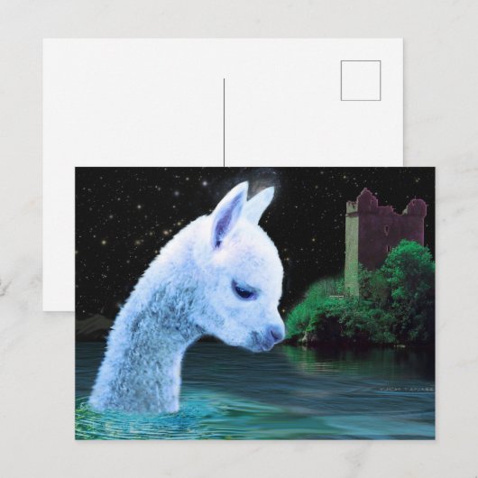 ベビー ポストカード (正面/裏面)