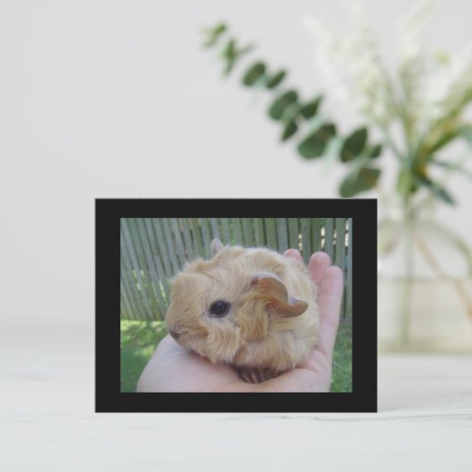 ベビー ポストカード (スタンド正面)