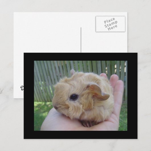 ベビー ポストカード (正面/裏面)