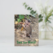 ベビー ポストカード (スタンド正面)