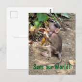 ベビー ポストカード (正面/裏面)