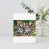 ベビー ポストカード (スタンド正面)