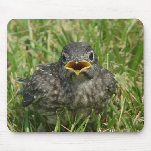 ベビー マウスパッド (正面)