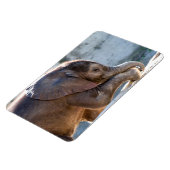 ベビー マグネット (左側)