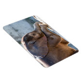 ベビー マグネット (右側)