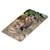 ベビー マグネット (左側)