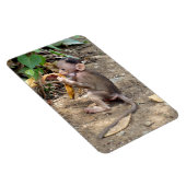 ベビー マグネット (右側)