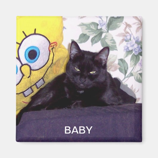 ベビー マグネット (正面)