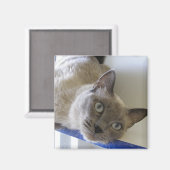 ベビー マグネット (正面/裏面)