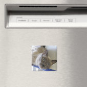 ベビー マグネット (インサイチュ (食洗機))