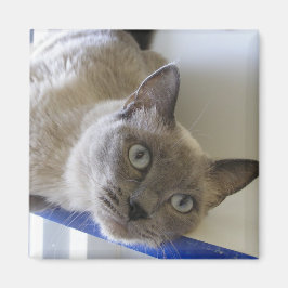 ベビー マグネット