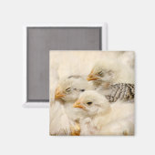 ベビー マグネット (正面/裏面)