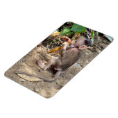 ベビー マグネット (左側)